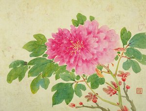 Painting of Peonies, from the Album of Paintings of Flowers, Fruits, Birds and Animals, c.1774